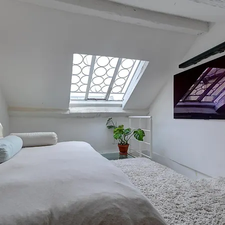 Pretty Parisian Penthouse